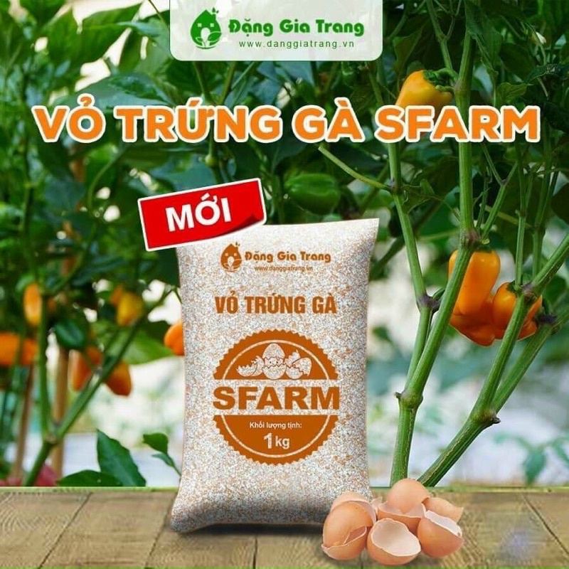 V Tr Ng G Sfarm Qua X L T I Kg Shopee Vi T Nam