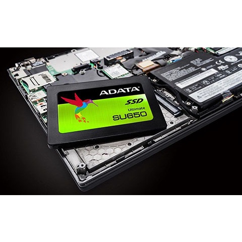 C Ng Ssd Adata Su Gb Sata Iii Shopee Vi T Nam