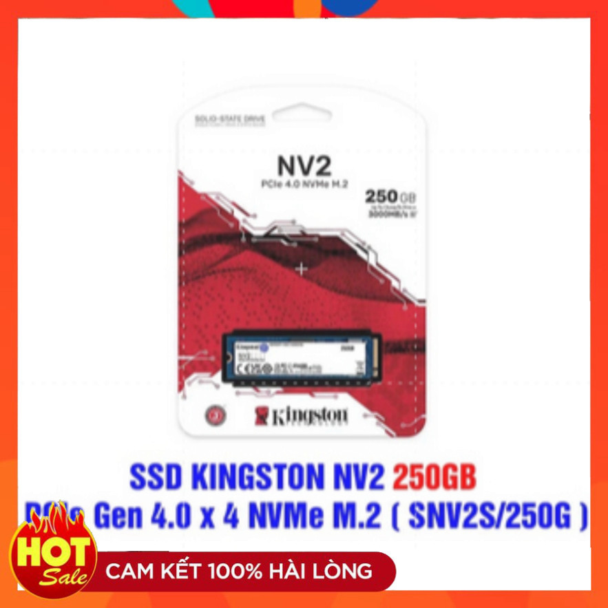 Ổ cứng SSD KINGSTON NV2 250GB PCIE GEN 4 0 X 4 NVME M 2 SNV2S 250G