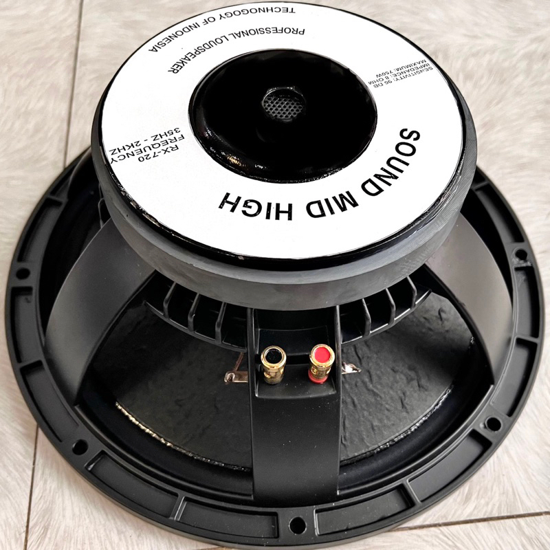 1 CÁI LOA BASS 30 RỜI SƯỜN NHÔM ĐÚC TỪ 170 COIL 65 HÀNG MỚI 100 NHẬP