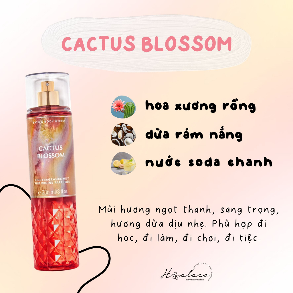 Body Mist X T Th M To N Th N Cactus Blossom Bbw Shopee Vi T Nam