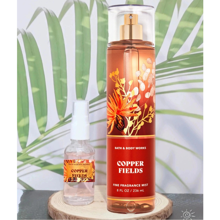 X T Th M Copper Fields Bath And Bodyworks Shopee Vi T Nam