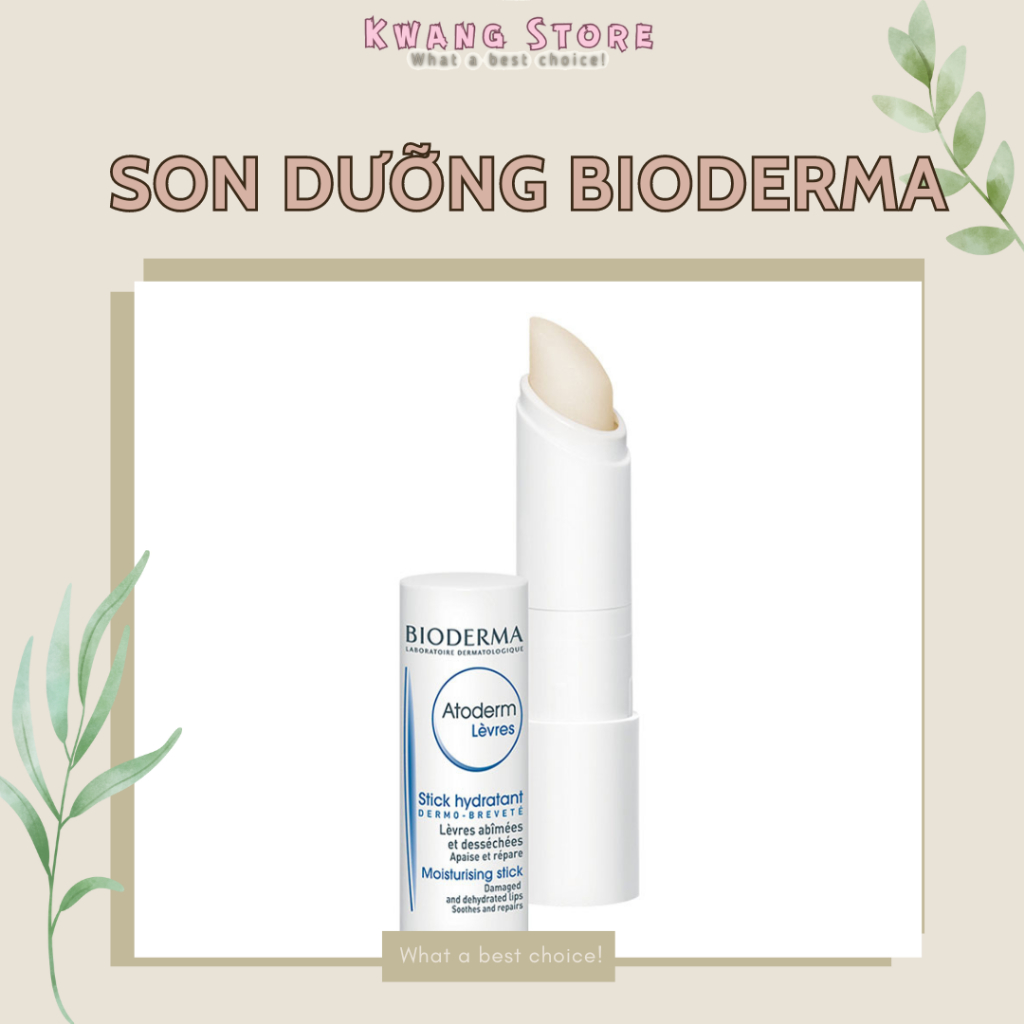 Son Dưỡng Bioderma Atoderm Stick Levres 4g Shopee Việt Nam