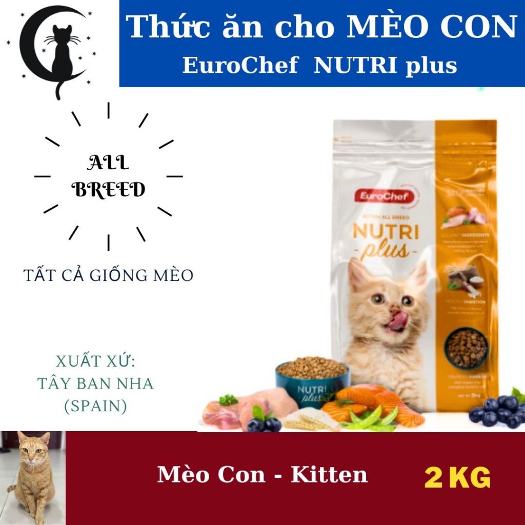 Gi M M I Ph N Hi U Qu Eurochef Nutri Plus Kitten Th C N H T M O Con