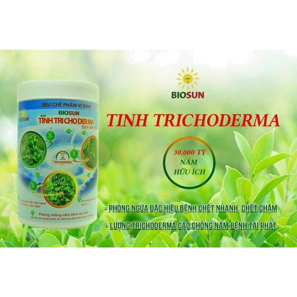 Chế phẩm vi sinh nấm Trichoderma đối kháng men vi sinh nấm Trichoderma