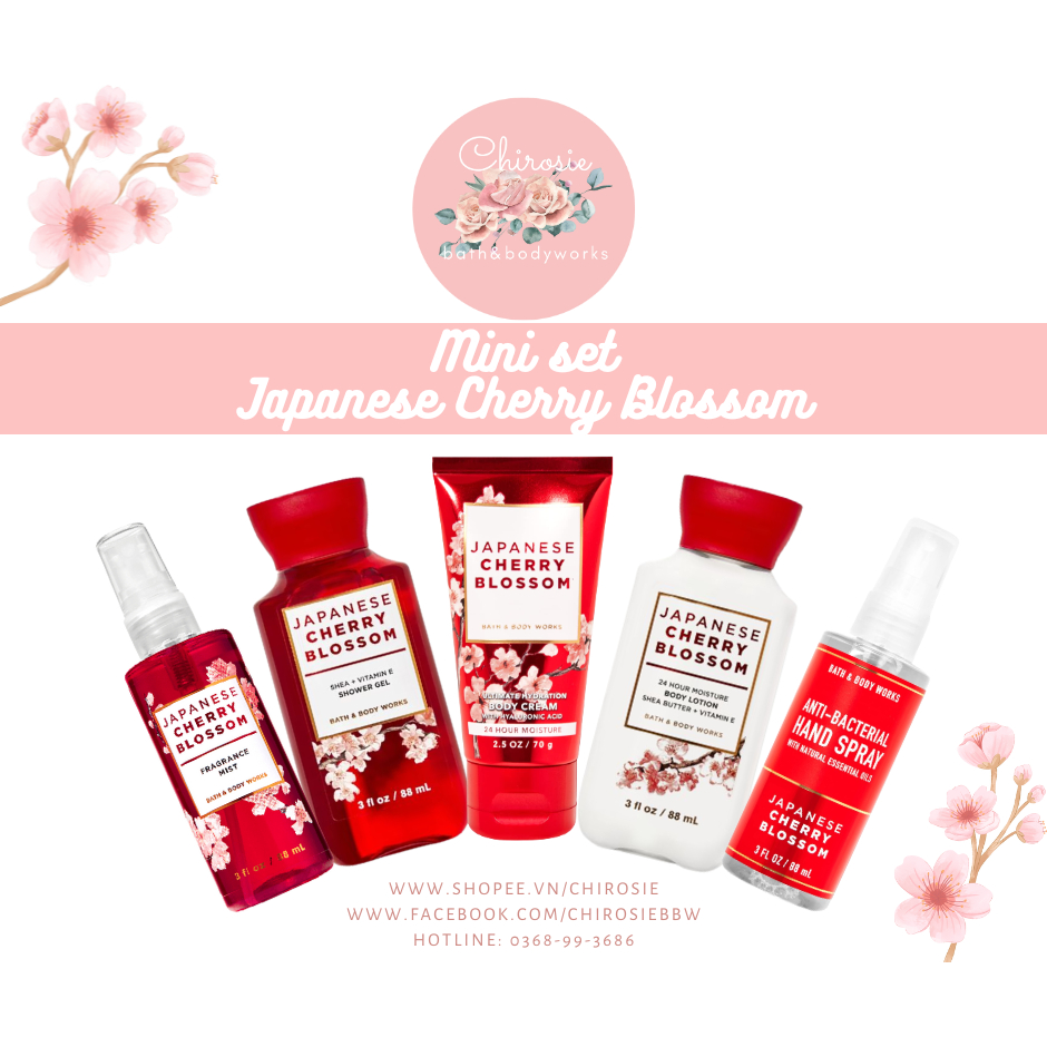 CHIROSIE BBW Bath Body Works hương Hoa Anh Đào Nhật Bản chính hãng