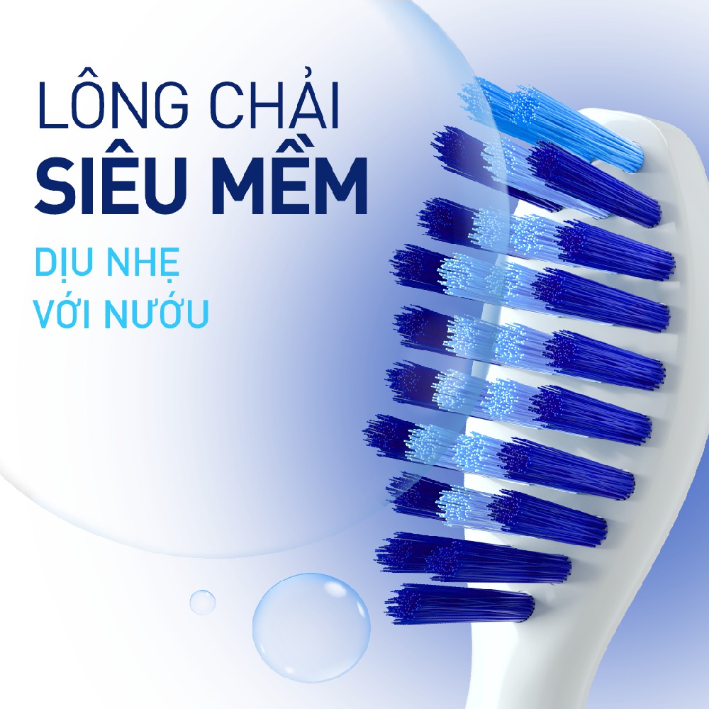 Bộ 2 đầu bàn chải điện P/S – Trắng Răng Tự Nhiên