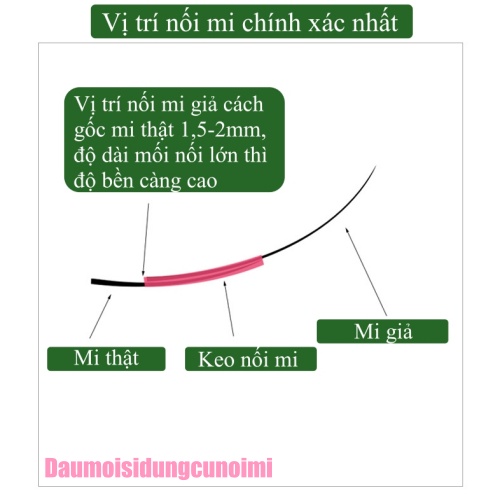 Lông mi giả thiên thần hình chữ A, mi giả tự nối độ cong C độ dày 0.7, độ dài 7-12mm