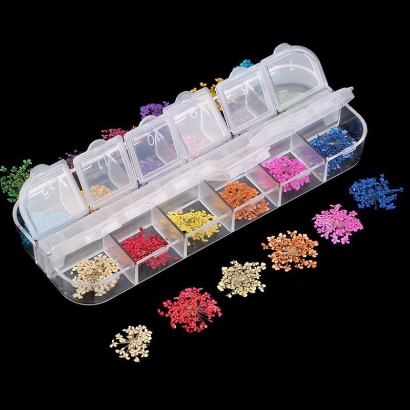 Hoa khô trang trí móng tay - Set 12 màu hoa chùm đắp gel ẩn phong cách Hàn Nhật