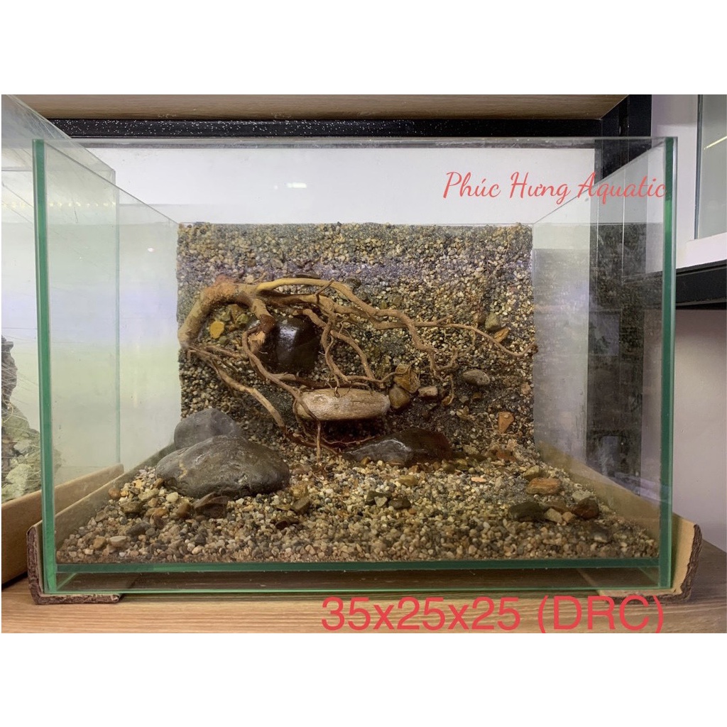 Layout bể thủy sinh | Shopee Việt Nam