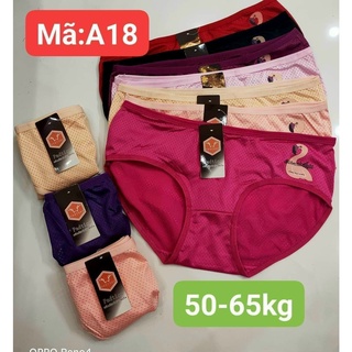 Combo 10 Quần lót Cotton thông hơi thoáng mát cho phái nữ TN (Có size trên 50kg và dưới 50kg)