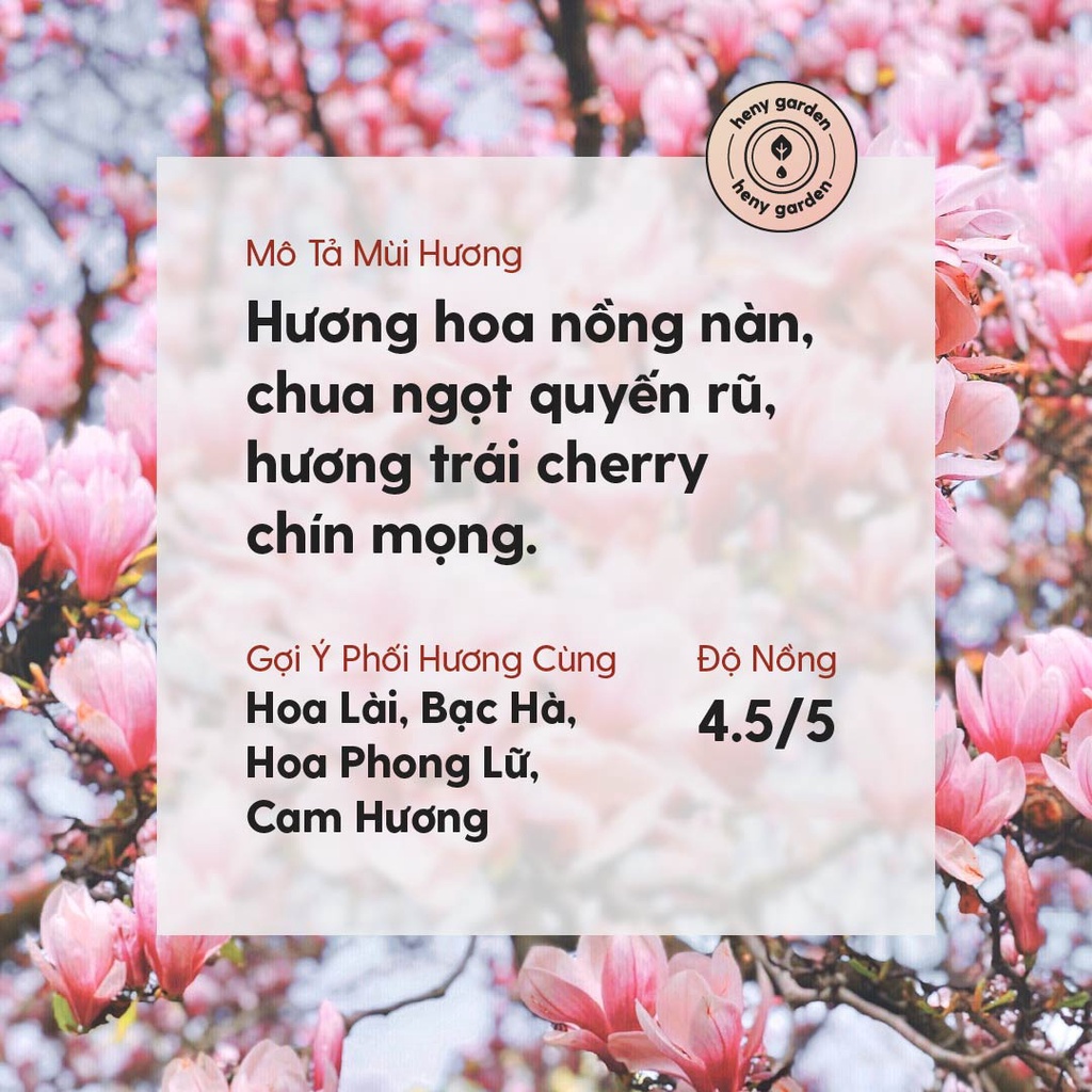 Ảnh Tinh Dầu Hoa Anh Đào Organic Nguyên Chất Đậm Đặc Xông Thơm Phòng, Làm Nến Thơm Thiên Nhiên, Giúp Dễ Ngủ Heny Garden 10mL 3