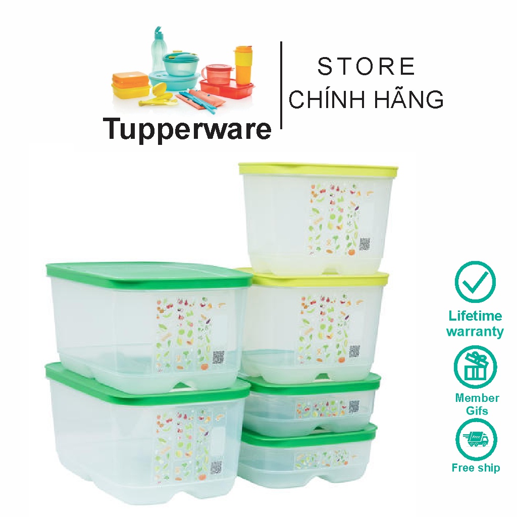 Bộ Hộp Trữ Mát Có Nút Hô Hấp Tupperware Ventsmart (6 hộp) | Shopee Việt Nam