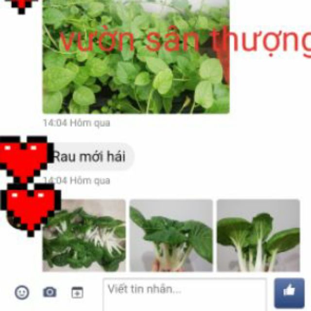 Giá Thể Đã Trộn Sẵn Gói 2kg Cho Rau, Củ, Quả, Cây Cảnh,.. Gồm Đất Phù sa, Tricho, Phân Nhật, Trù.n Quế,v.v Trồng Ngay