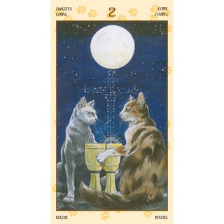 Bộ Bài Tarot of Pagan Cats (Mystic House Tarot Shop) - Bài Gốc Authentic Chính Hãng 100%