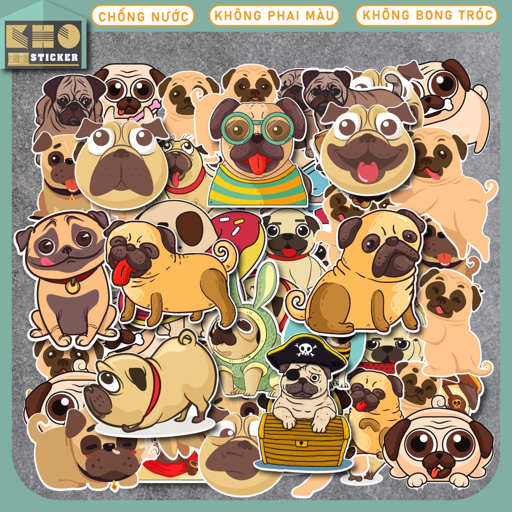 Combo 50 Sticker Chó Pug chống nước sticker dán laptop, điện thoại, đàn ...