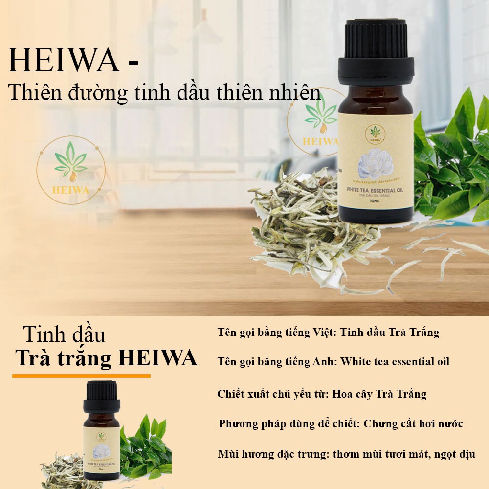 Ảnh Tinh dầu Trà trắng 100ML thương hiệu HEIWA nhập khẩu Ấn Độ có giấy kiểm định, dung tích 100ml 2