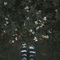 omriohd4fy