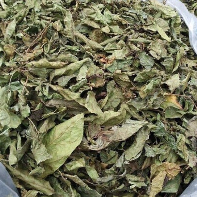 Xạ đen Hoà Bình thượng hạng JINDO 1kg tốt cho sức khỏe