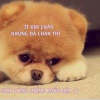gaibacon_9387