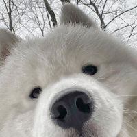 anh_nguyet22092000