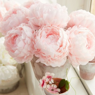 roseblackqa