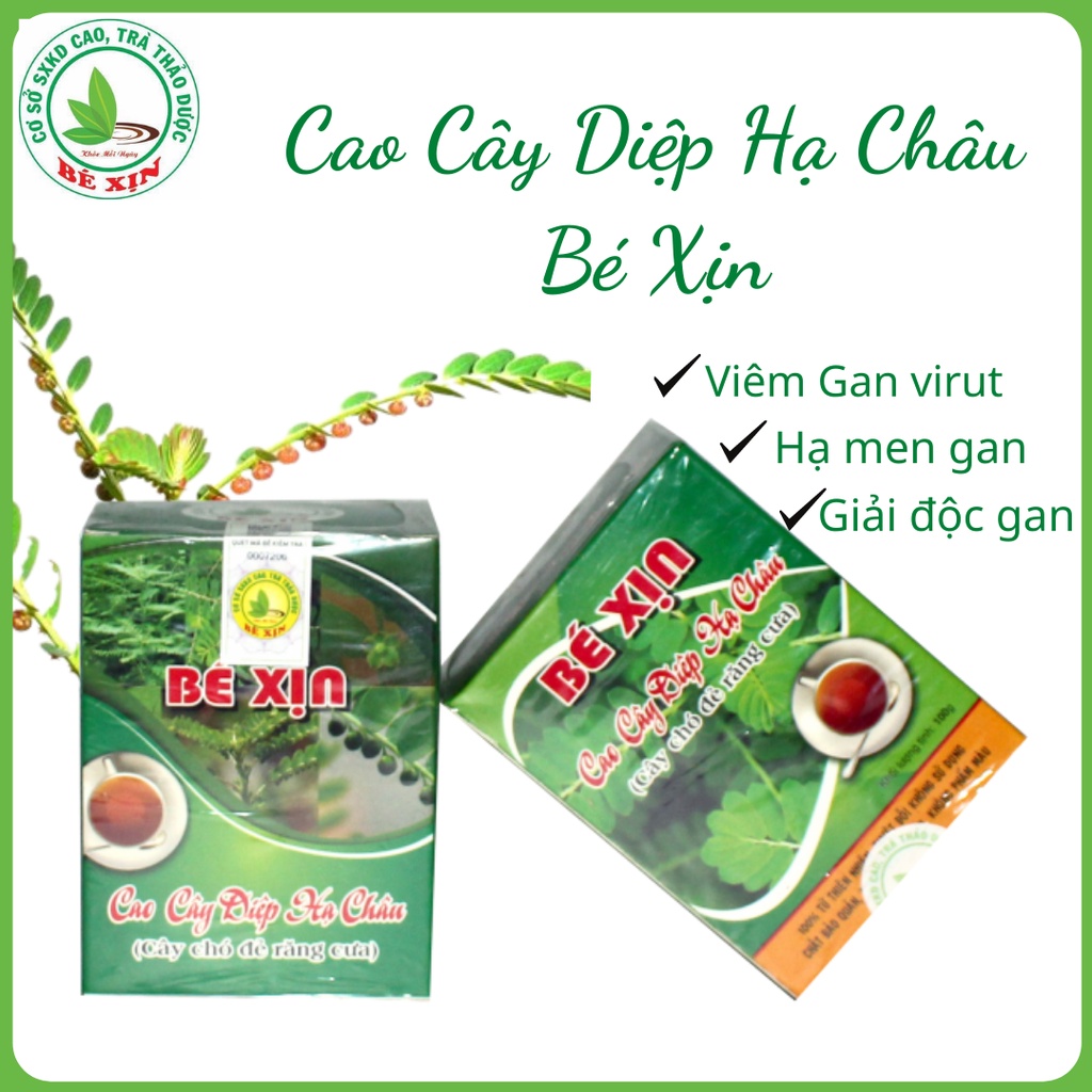 CAO CÂY DIỆP HẠ CHÂU BÉ XỊN ( CÂY CHÓ ĐẺ RĂNG CƯA ) Lọ 100gr - Dùng cho ...