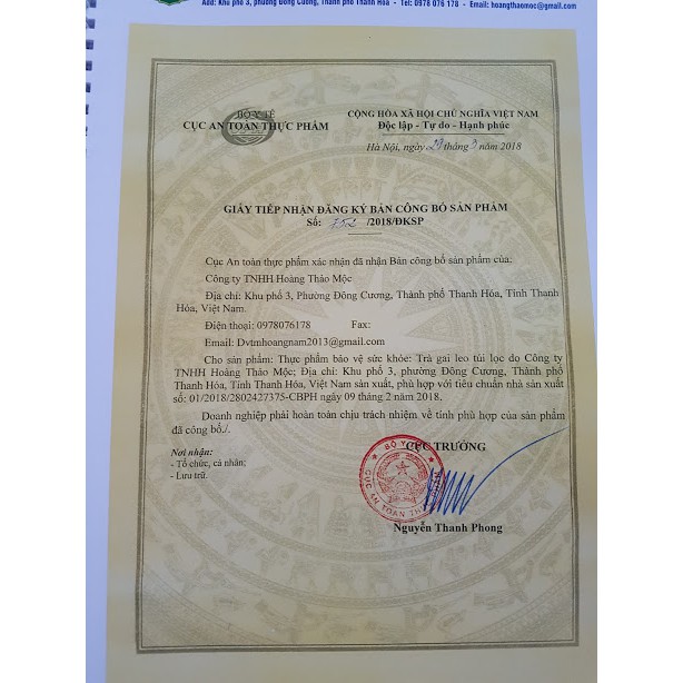Trà cà gai leo túi lọc đạt chuẩn OCOP