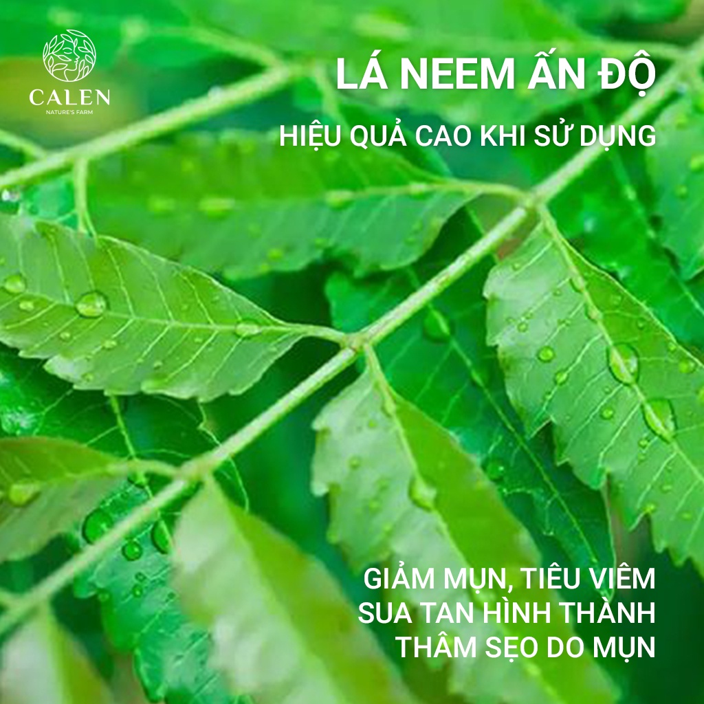Mặt nạ lá Neem Calen đắp mặt nguyên chất 100% giúp cấp ẩm tẩy da chết dưỡng trắng da dạng bột (Mask bột lá neem)