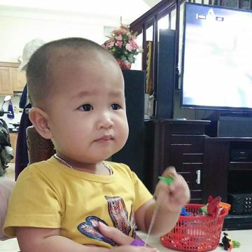 linh01239585734