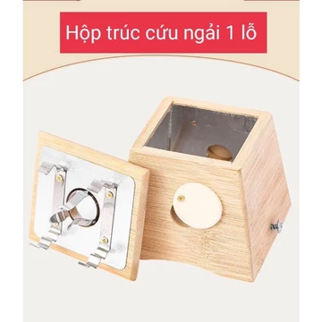 Bộ Hộp ngải cứu trúc cao cấp 1 lỗ+ hộp 10 điếu nhang ngải cứu - Dùng hơ điếu ngải cứu, nhang ngải.