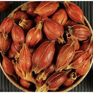 Hạt dành dành