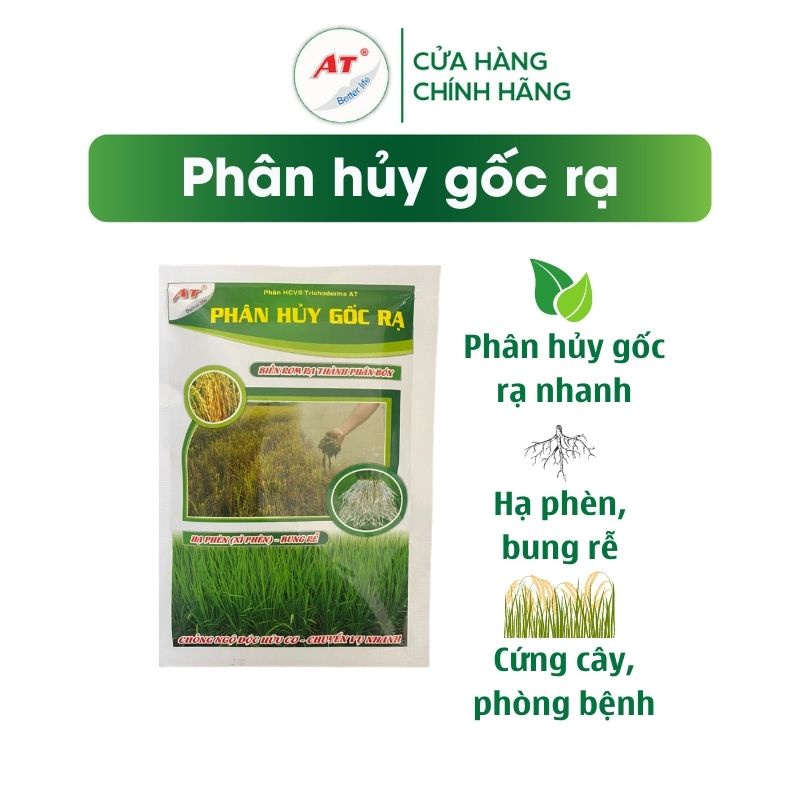 Trichoderma xử lý nhanh rơm rạ tại ruộng, ủ rơm rạ, ủ phân chống ngộ ...