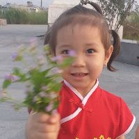 hauyen2010