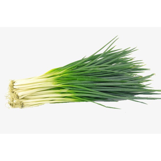 Hạt Giống Hành Lá Cao Sản ( 2gr ) Phú Nông - Thơm, Giàu D.inh Dư.ỡng CHẤT LƯỢNG CAO