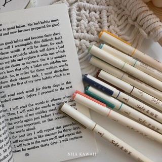 Bút brush calligraphy DS Soft Brush Sign Pen viết thư pháp hiện đại