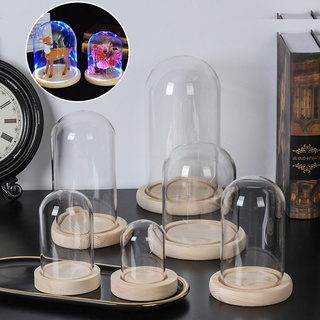 [Giao hàng từ Việt Nam] Tấm che bụi HAVENLYCO Terrarium Để bàn Trang trí nội thất Bình thủy tinh Terrarium Đế gỗ