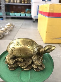 Rùa Mai Bóng Kim Quy Vật phẩm phong thủy bằng đồng Rùa đế tiển