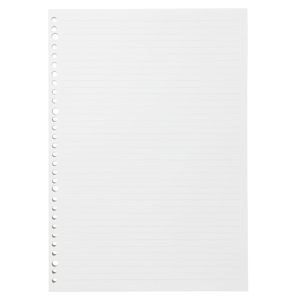 Ảnh Giấy Đục Lỗ Các Loại A4/A5/B5 MUJI 2