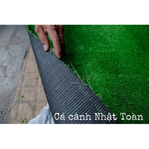 THẢM CỎ NHÂN TẠO TRANG TRÍ CẮT THEO KHỔ