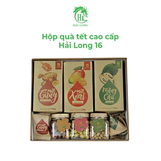 Hộp quà Tết thực phẩm Hải Long 16 thiết kế tinh tế, bộ hạt và mứt sấy biếu tặng đối tác lớn quý | HẢI LONG