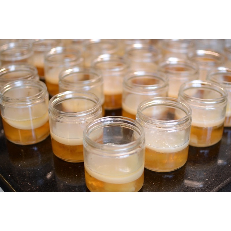 Combo Scoby Và Nước Mồi Làm Trà Kombucha - An Toàn, Tốt Cho Sức Khỏe 🔸 Anna Home