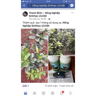 KÍCH THÍCH RA RỄ - EM ROOT SIÊU RA RỄ HLC CHAI 500ML - KÍCH RỄ CỰC MẠNH, KÍCH CHỒI, XANH LÁ