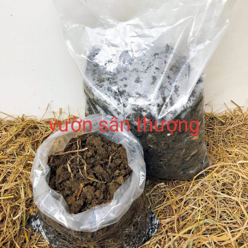 Phân Bò Thô Gói 5dm3 Tầm 1kg Dùng Bón Lót Trồng Rau, Củ, Quả, ổn Định PH Đất