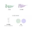 Kem Nền Cotton The Face Shop