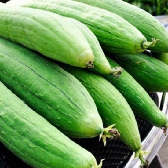 Bộ 2 gói hạt giống mướp hương Thái Lan