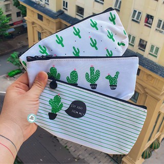 VÍ ĐỰNG CÂY XƯƠNG RỒNG