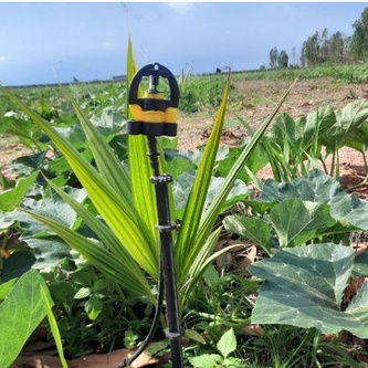 Béc tưới T700 Bù áp tưới phun mưa, Chống Côn Trùng, Bán kính to nhỏ 30-60-90-135-200l/h tặng kèm nối 6mm