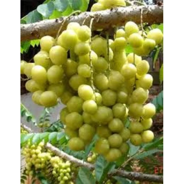 051967975b15d5dc0ab347c5ef6a282f@resize w900 nl