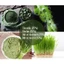 Hỗn hợp Green Detox (chlorella, spirulina, cỏ lúa mì, cỏ lúa mạch) thải độc mix 200g - Dragon Superfoods